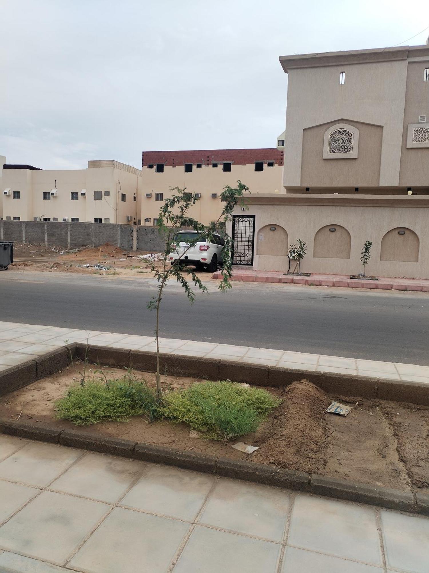 Appartement الياسمين *